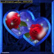 برای دوست و هم محلیم